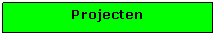 Tekstvak: Projecten